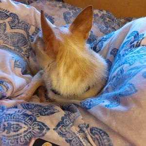 Meet your Posher, Teri